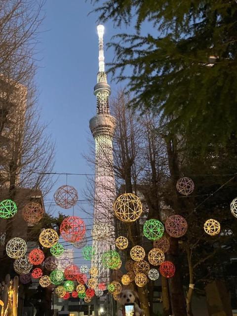 Sky Tree Inn Ⅱ（晴樹宿ⅱ） Präfektur Tokio Exterior foto