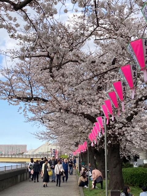Sky Tree Inn Ⅱ（晴樹宿ⅱ） Präfektur Tokio Exterior foto