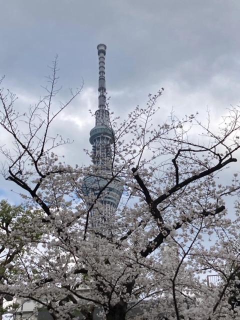 Sky Tree Inn Ⅱ（晴樹宿ⅱ） Präfektur Tokio Exterior foto